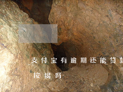 支付宝有逾期还能贷款吗（支付宝逾期还能办按揭吗）