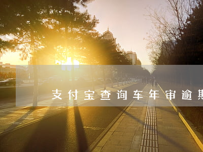 支付宝查询车年审逾期117天