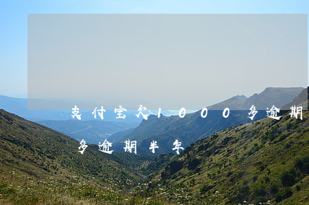 支付宝欠1000多逾期两年(支付宝欠2千多逾期半年)