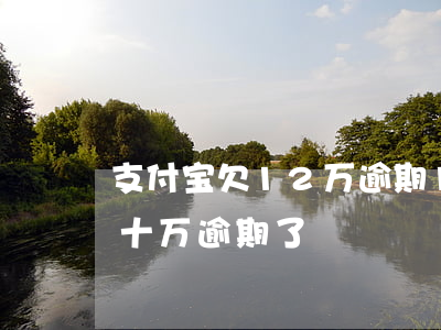 支付宝欠12万逾期16天-支付宝一共欠十万逾期了