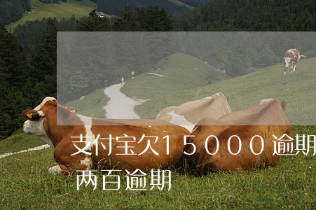 支付宝欠15000逾期两年（支付宝欠钱一两百逾期）