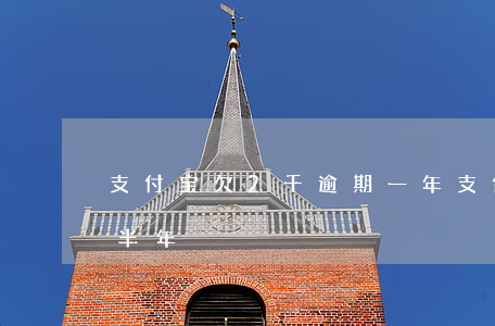 支付宝欠2千逾期一年(支付宝欠2千多逾期半年)