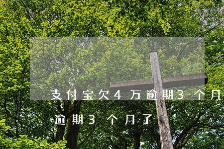 支付宝欠4万逾期3个月了-支付宝欠4万逾期3个月了