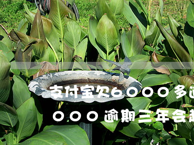 支付宝欠6000多逾期会怎样(支付宝欠6000逾期三年会起诉吗)