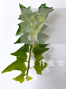 支付宝欠6万逾期两年（支付宝两万七逾期两年）