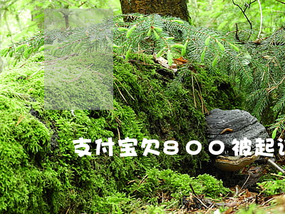 支付宝欠800被起诉(支付宝欠一千说起诉)