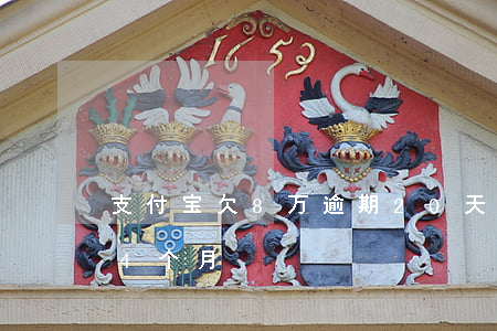 支付宝欠8万逾期20天(支付宝欠8万逾期4个月)