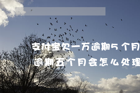 支付宝欠一万逾期5个月(支付宝欠款两万多,逾期五个月会怎么处理)