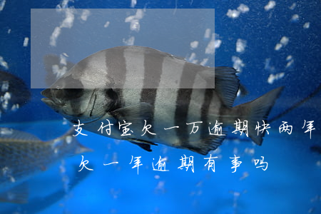 支付宝欠一万逾期快两年会被起诉吗（支付宝欠一年逾期有事吗）
