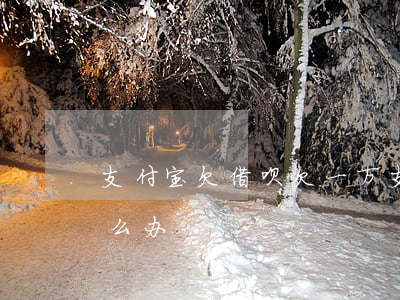 支付宝欠借呗欠一万(支付宝借呗欠了七万怎么办)