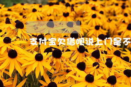 支付宝欠借呗说上门是不是真的-