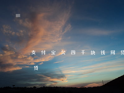 支付宝欠四千块钱网贷通过不了(欠了4万网贷)