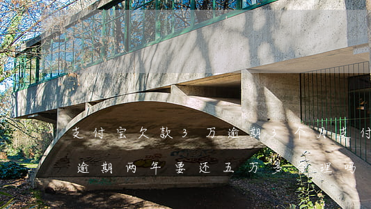 支付宝欠款3万逾期3个月(支付宝欠款三万逾期两年要还五万多合理吗)