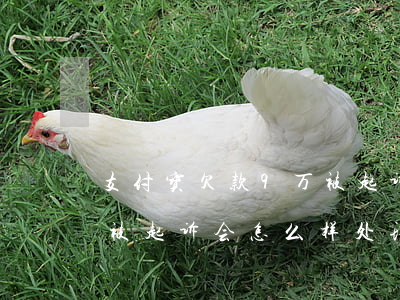 支付宝欠款9万被起诉-支付宝欠款10万被起诉会怎么样处理?