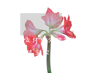 支付宝欠款实在无力偿还了应该怎么办-支付宝欠款实在无力偿还了应该怎么办呢