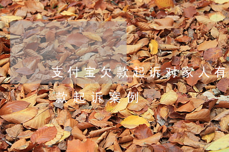 支付宝欠款起诉对家人有影响吗（欠支付宝欠款起诉案例）