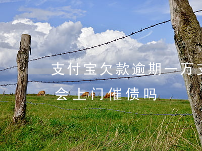 支付宝欠款逾期一万(支付宝欠款逾期一万多会上门催债吗)