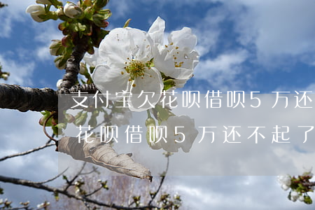 支付宝欠花呗借呗5万还不起了-支付宝欠花呗借呗5万还不起了怎么办