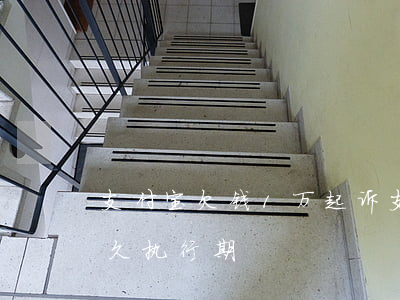 支付宝欠钱1万起诉(支付宝欠1万起诉后多久执行期)