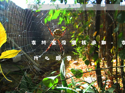 支付宝没借钱逾期-支付宝借钱逾期未还有什么后果