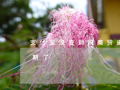 支付宝没查到网商贷逾期(支付宝的网商贷逾期了)