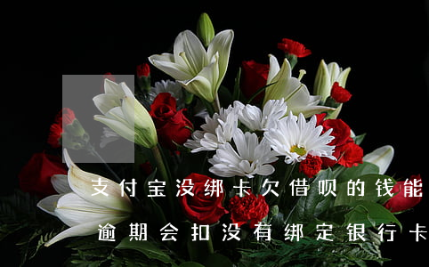 支付宝没绑卡欠借呗的钱能扣吗(支付宝借呗逾期会扣没有绑定银行卡的钱吗)
