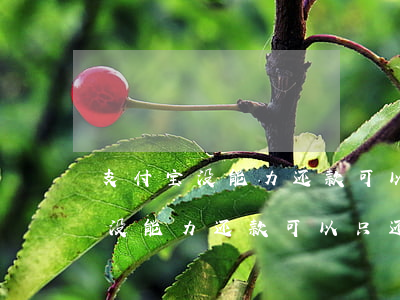 支付宝没能力还款可以只还本金吗-支付宝没能力还款可以只还本金吗
