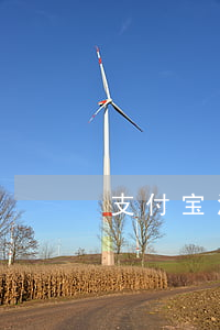 支付宝没逾期为什么花呗无法购物