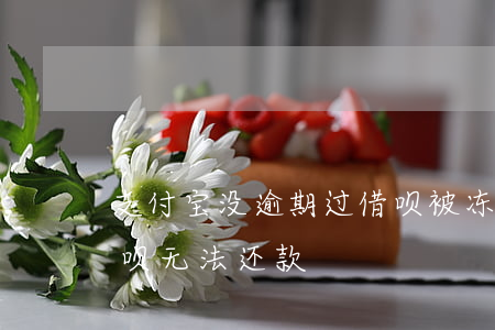 支付宝没逾期过借呗被冻结了(支付宝冻结借呗无法还款)