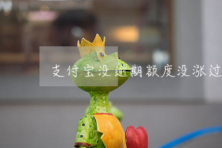 支付宝没逾期额度没涨过