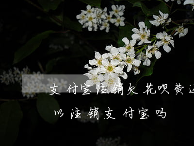 支付宝注销欠花呗费还用还吗(花呗有欠款可以注销支付宝吗)