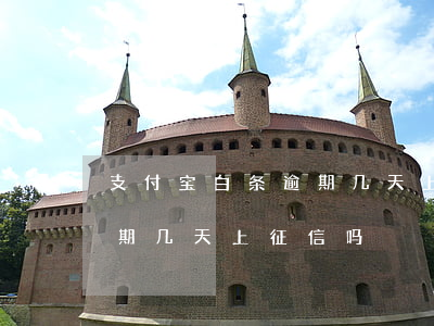 支付宝白条逾期几天上征信吗(支付宝白条逾期几天上征信吗?)