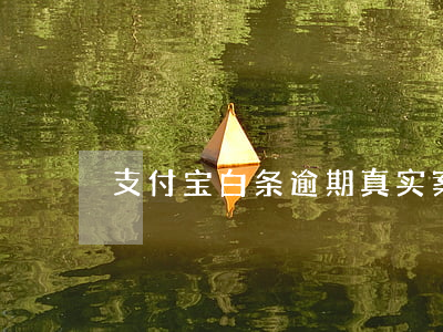 支付宝白条逾期真实案例(白条逾期后果)