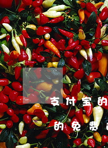 支付宝的免费还款额度能还花呗吗-支付宝的免费还款额度能还花呗吗安全吗