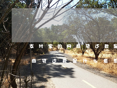 支付宝的网商贷还款是什么东西-支付宝网商贷还款是什么意思