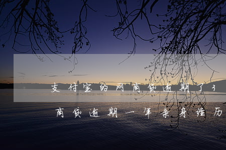 支付宝的网商贷逾期了30多天-支付宝网商贷逾期一年亲身经历