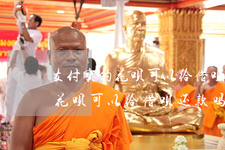 支付宝的花呗可以给借呗还款吗-支付宝的花呗可以给借呗还款吗安全吗