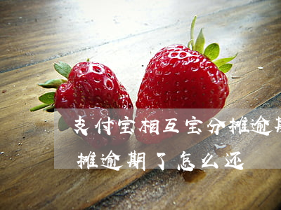 支付宝相互宝分摊逾期怎么还款-相互宝分摊逾期了怎么还