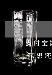 支付宝短时间逾期会有利息吗(支付宝逾期现在想还利息挺高,怎么解决)