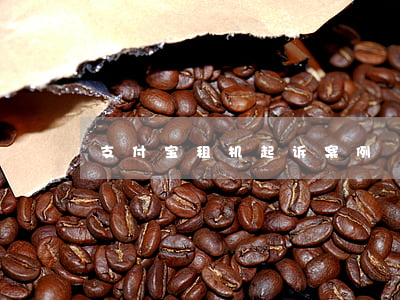 支付宝租机起诉案例