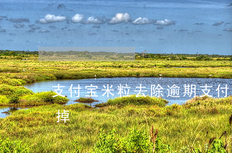 支付宝米粒去除逾期(支付宝有个逾期怎么消掉)