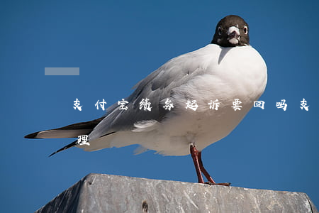 支付宝绩务起诉要回吗(支付宝起诉后如何处理)