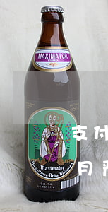 支付宝网商贷2逾期(支付宝网商贷逾期2个月严重吗)