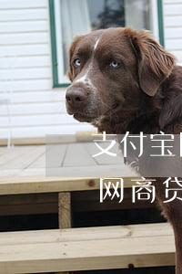 支付宝网商贷两万逾期会被起诉吗-支付宝网商贷两万逾期会被起诉吗知乎