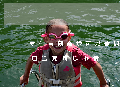 支付宝网商贷可以逾期还款吗?（支付宝网商贷已逾期可以申请）