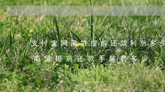 支付宝网商贷提前还款利息多少-支付宝网商贷提前还款手续费多少