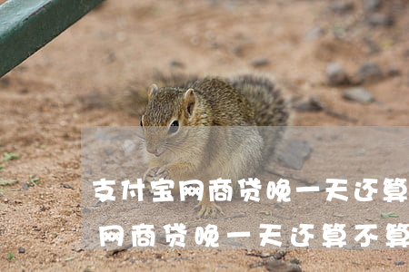 支付宝网商贷晚一天还算不算逾期-支付宝网商贷晚一天还算不算逾期了