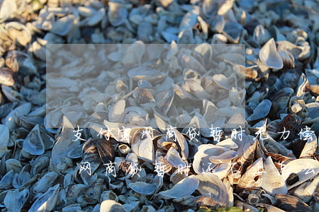 支付宝网商贷暂时无力偿还怎么办-支付宝网商贷暂时还不上怎么办