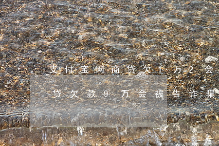 支付宝网商贷欠1万2会判刑吗(支付宝网商贷欠款9万会被告诈骗吗)