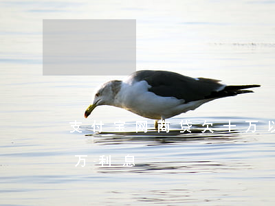 支付宝网商贷欠十万以上(支付宝网商贷贷十万利息)